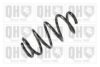 QUINTON HAZELL QCS8221 Coil Spring